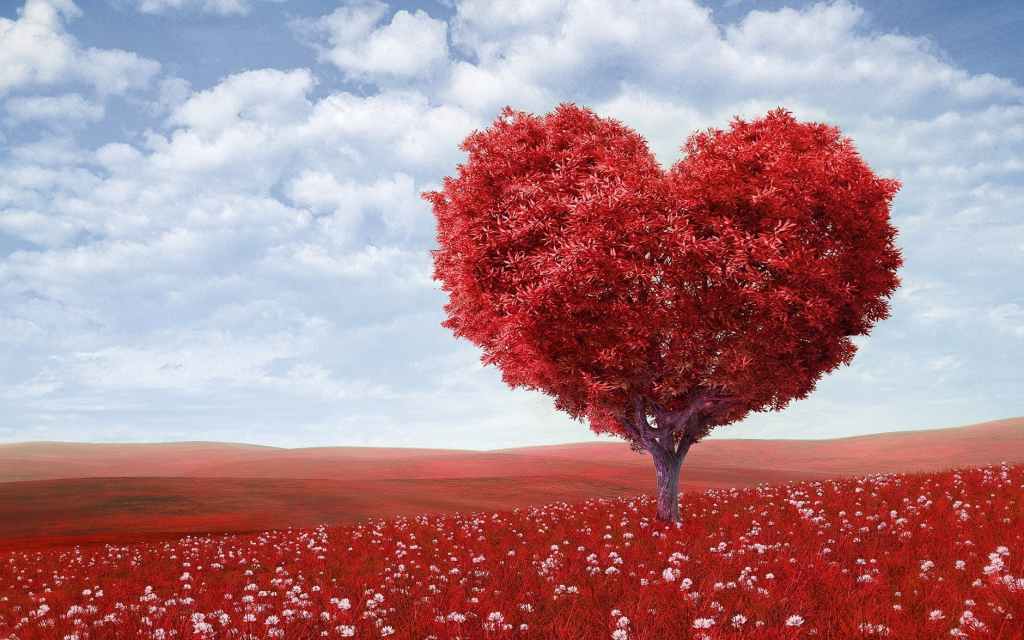 16 Affirmations Positives pour développer son estime de soi